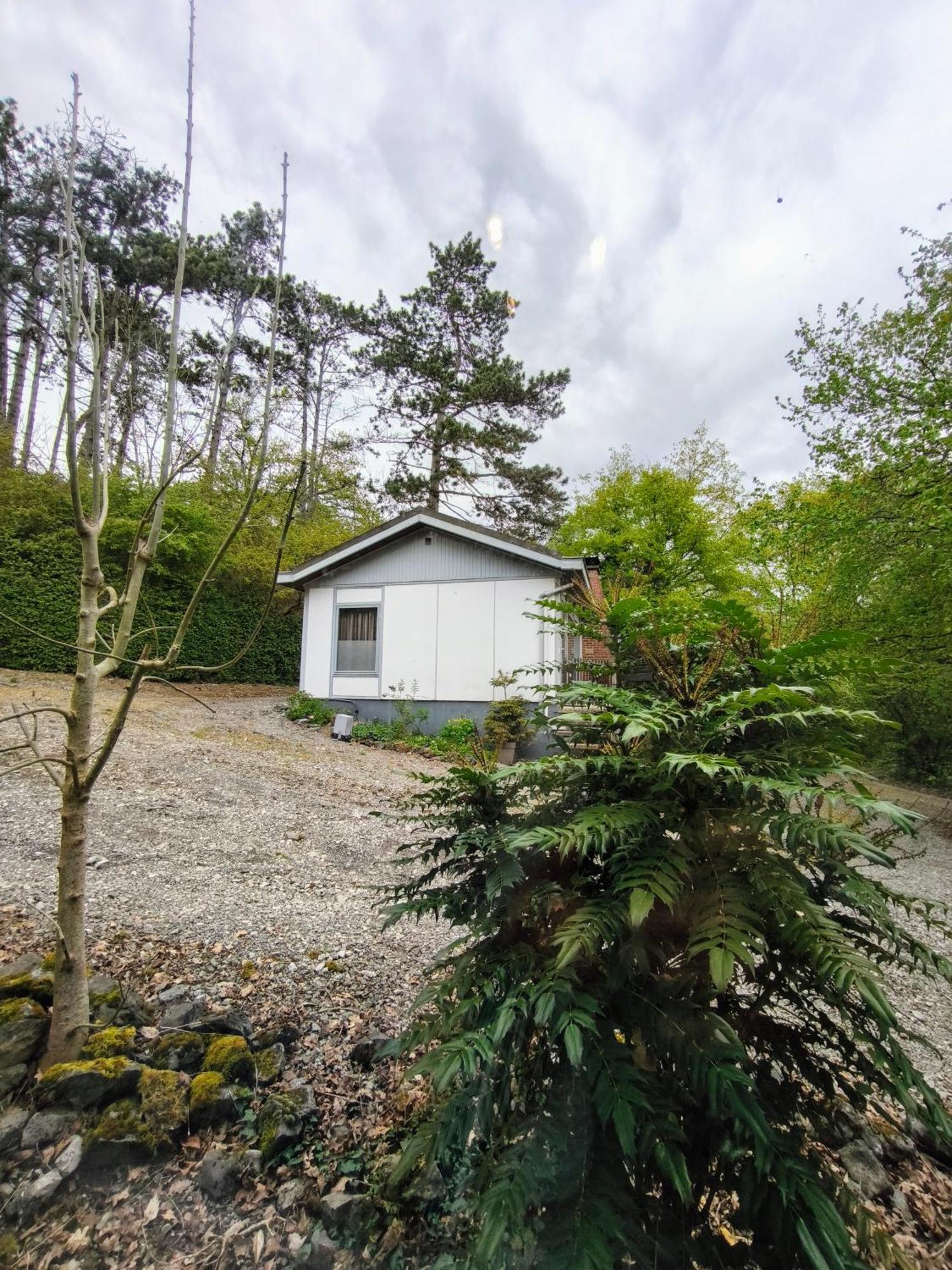 Au Bois Charmant Waulsort Quarto foto